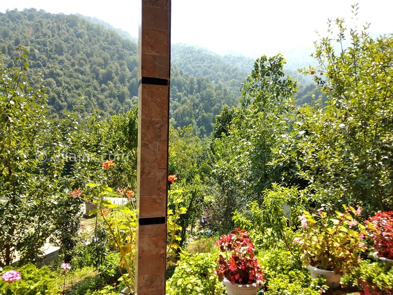 عکس شماره 583222 - اجاره ویلا در ماسال - 