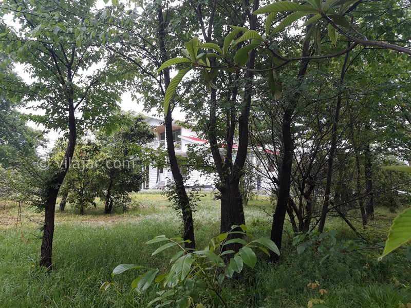 عکس شماره 583554 - اجاره ویلا جنگلی در ماسال تاسکوه - 