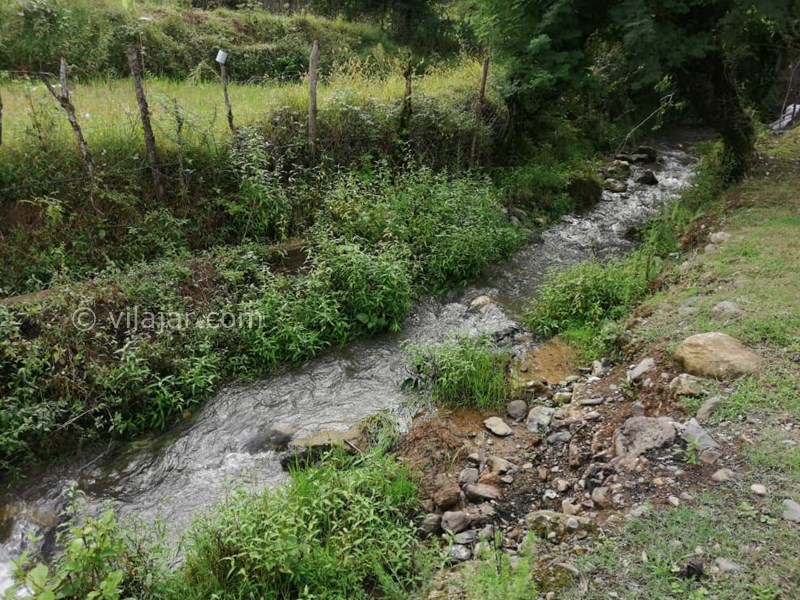 عکس شماره 584592 - اجاره ویلا در ماسال - 