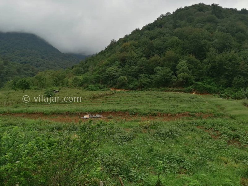 عکس شماره 584596 - اجاره ویلا در ماسال - 