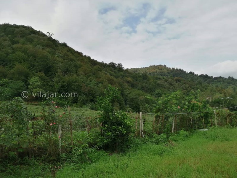 عکس شماره 584605 - اجاره ویلا در ماسال - 