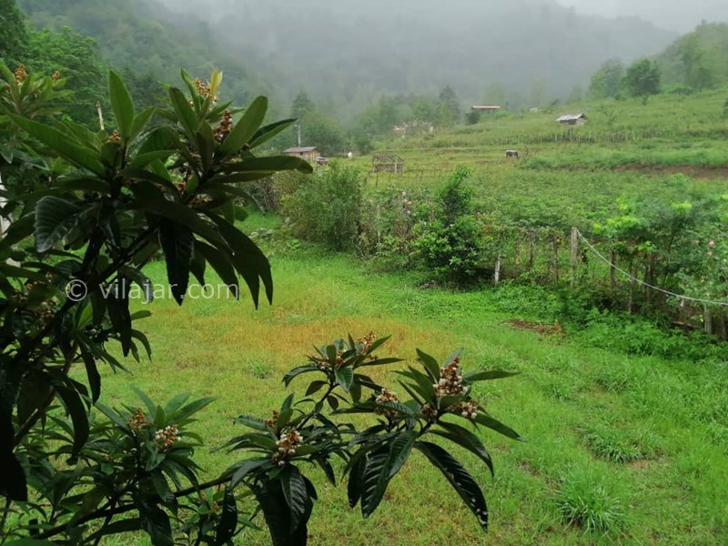 عکس شماره 584608 - اجاره ویلا در ماسال - 