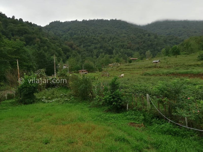 عکس شماره 584618 - اجاره ویلا در ماسال - 