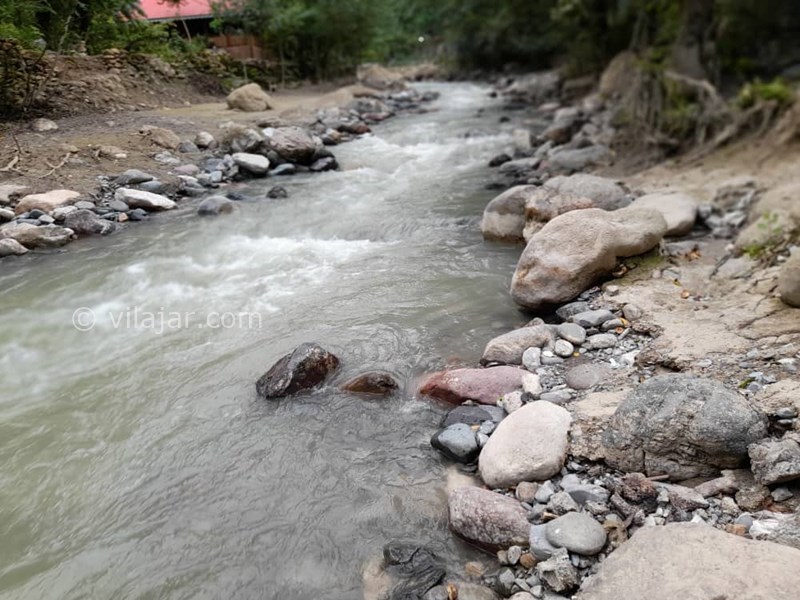 عکس شماره 584827 - اجاره واحد جنگلی لب رودخانه - 