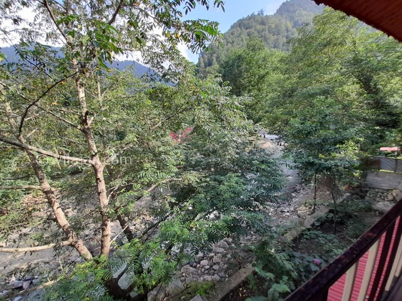 عکس شماره 584837 - اجاره واحد جنگلی لب رودخانه - 