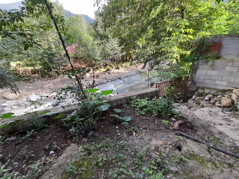 عکس شماره 584839 - اجاره واحد جنگلی لب رودخانه - 