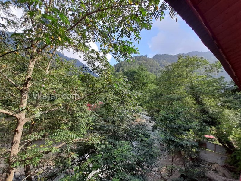 عکس شماره 584842 - اجاره واحد جنگلی لب رودخانه - 