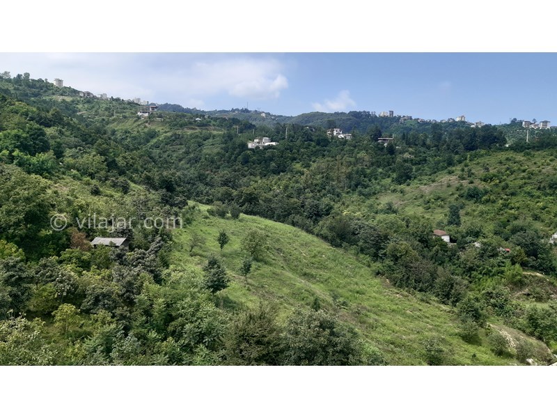 عکس شماره 585116 - اجاره ویلای جنگلی در رامسر - ویو غربی