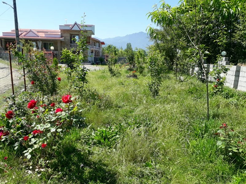 عکس شماره 586569 - ویلا اجاره ای در ماسال - 