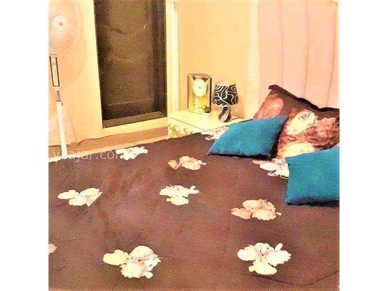 عکس شماره 587124 - اجاره آپارتمان در رشت - 