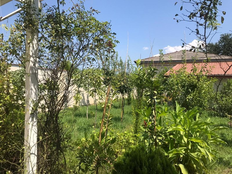 عکس شماره 588617 - اجاره ویلا استخردار در رشت - 