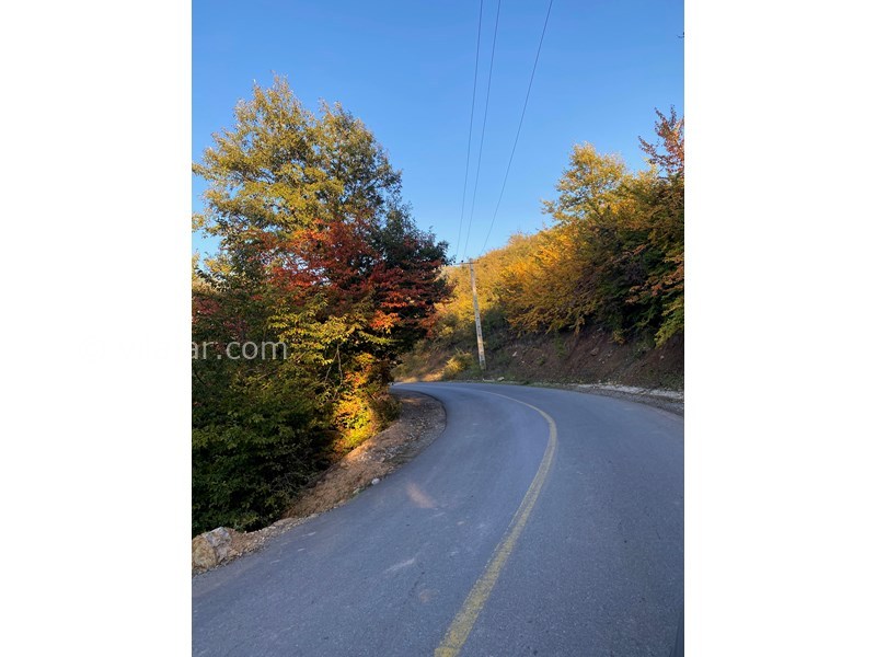 عکس شماره 589355 - اجاره ویلا در علی آباد کتول - جاده دسترسی به ویلا(آسفالت)