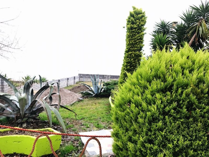 عکس شماره 589597 - اجاره ویلا محموداباد چسبیده به دریا - 