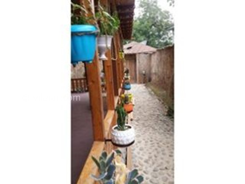 عکس شماره 589816 - اجاره روزانه خانه روستایی گیلان -