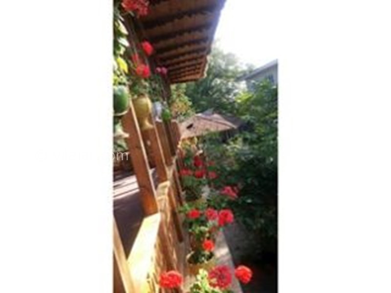 عکس شماره 589819 - اجاره روزانه خانه روستایی گیلان -