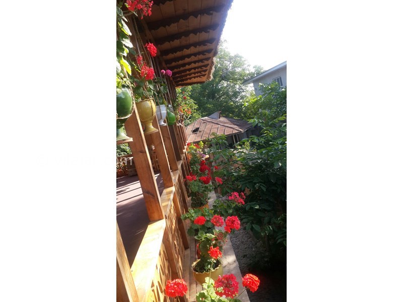 عکس شماره 589826 - اجاره روزانه خانه روستایی گیلان -