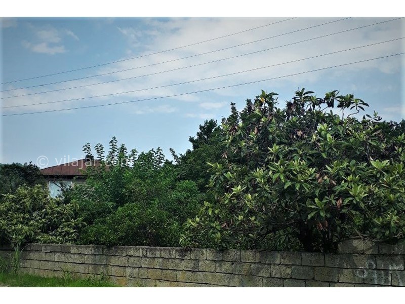 عکس شماره 590808 - اجاره واحد اقامتی غیردربست در رامسر - محوطه حیاط بیرون