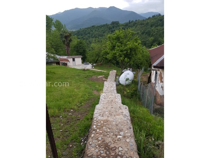 عکس شماره 591066 - اجاره خانه ویلایی جنگلی در ماسال - 