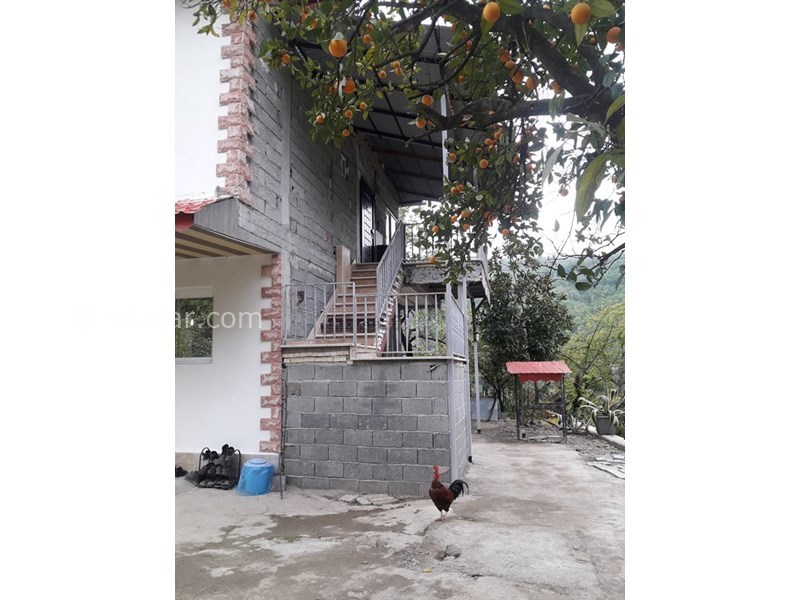 عکس شماره 591952 - اجاره ویلا در رامسر جواهرده - 