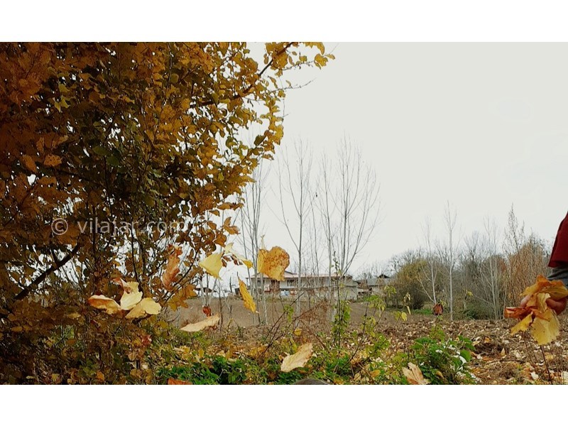 عکس شماره 592533 - اجاره خانه روستایی سنتی در بهشهر -