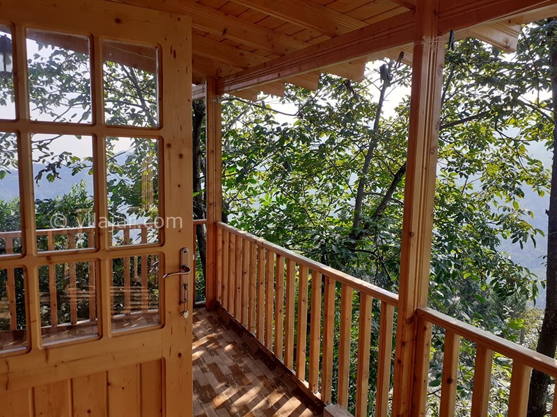 عکس شماره 592694 - اجاره کلبه چوبی در جنگل جواهرده - 