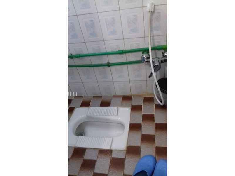 عکس شماره 593135 - اجاره خانه در فومن - 