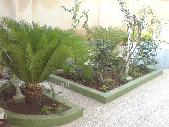 عکس شماره 59511 - اجاره سوئیت در شهر لاهیجان - 