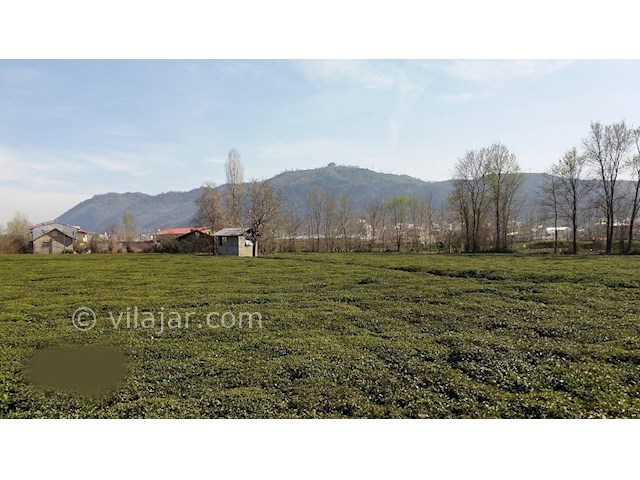 عکس شماره 59565 - ویلا در نخجیر کلایه لاهیجان - 