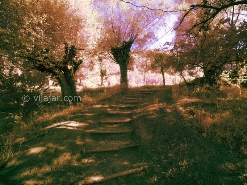 عکس شماره 595971 - اقامتگاه بومگردی سی سن - 