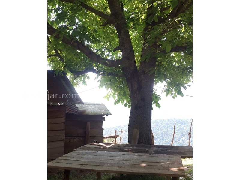 عکس شماره 596422 - اجاره کلبه چوبی در ییلاقات ماسال - 