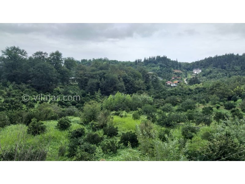 عکس شماره 597004 - اجاره ویلا چوبی با جکوزی شیرگاه -