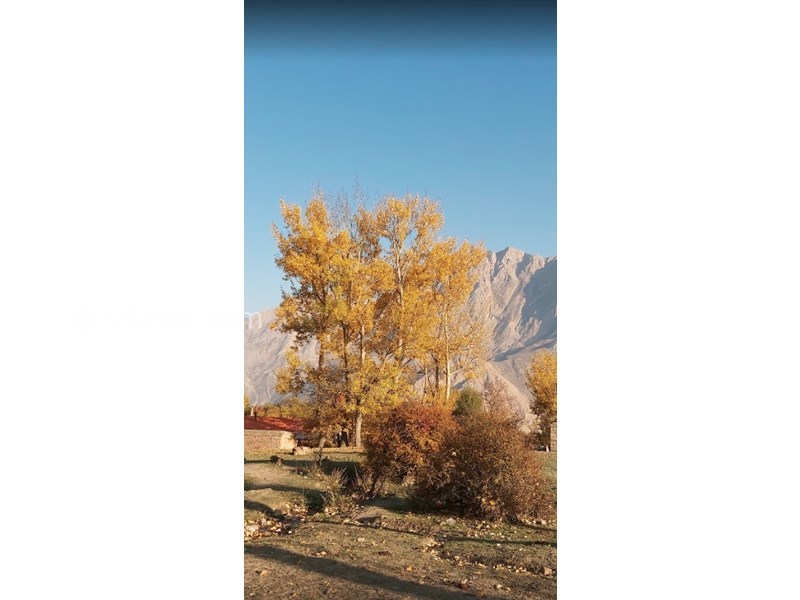 عکس شماره 597274 - مجتمع اقامتی تخت جمشید - 