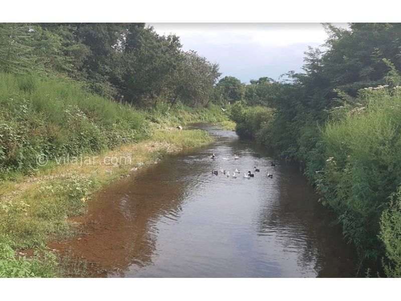 عکس شماره 597583 - اقامتگاه بومگردی داروَک - 