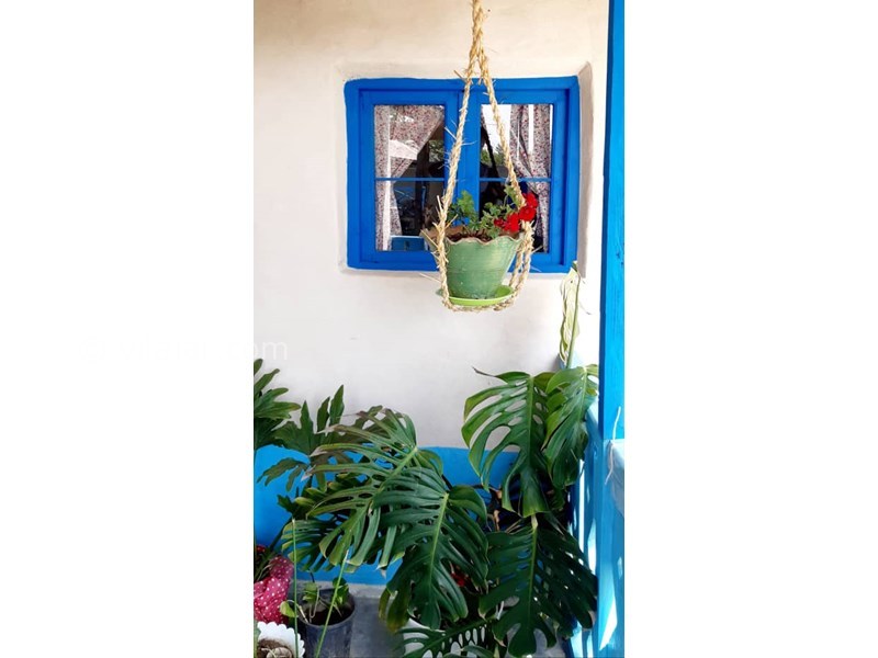 عکس شماره 597905 - اقامتگاه بومگردی داروَک - 