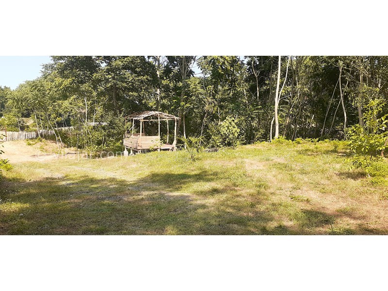 عکس شماره 598293 - اجاره ویلا در شاندرمن گیلان - 