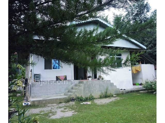 عکس شماره 59851 - اجاره ویلا در ماسال - 