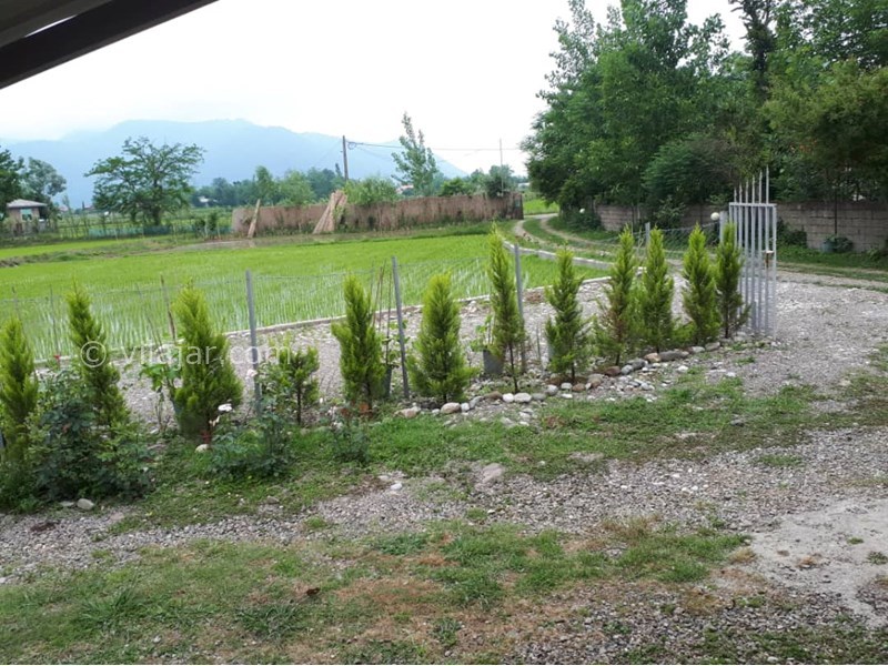 عکس شماره 598614 - اجاره ویلا چوبی در ماسال - 