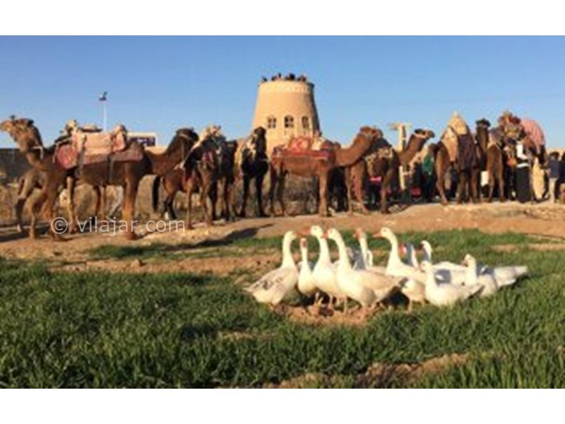 عکس شماره 598826 - اقامتگاه بوم گردی خانه باغ شاکر - 