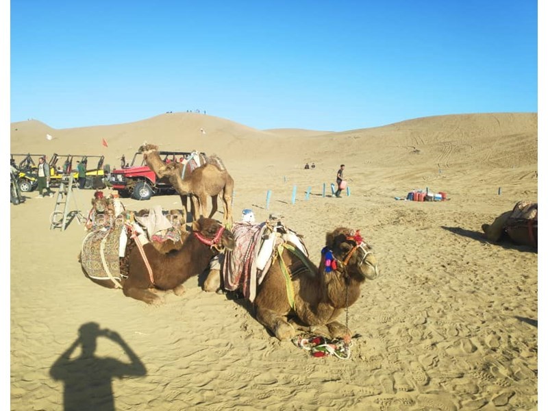 عکس شماره 598840 - اقامتگاه بومگردی ستاره کویر - 