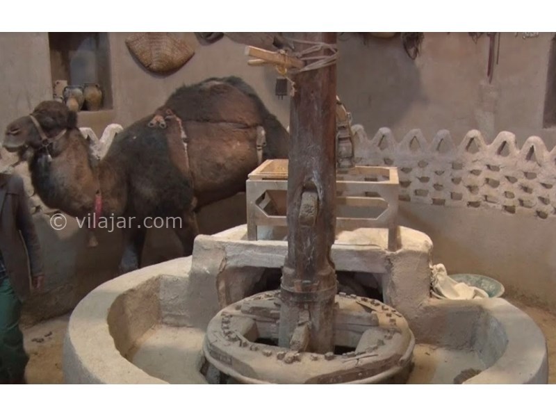 عکس شماره 599198 - اقامتگاه جوسوری آسیاب شتر ورزنه - اسیاب شتر ورزنه