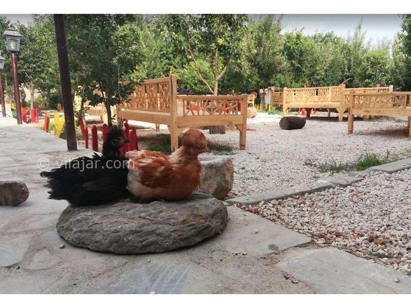 عکس شماره 599365 - اقامتگاه بومگردی عمو قدرت -