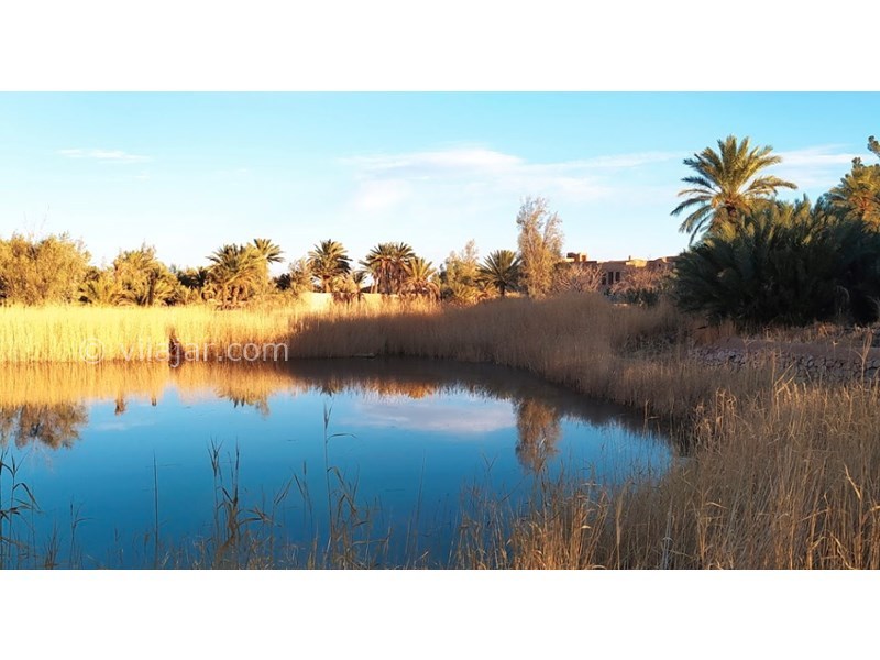 عکس شماره 600587 - اقامتگاه بومگردی الما - 