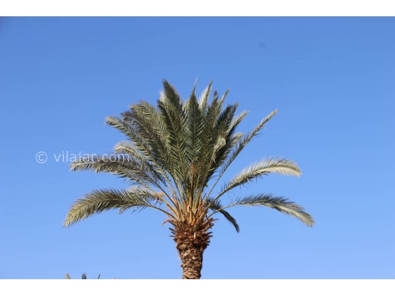 عکس شماره 600839 - اقامتگاه بومگردی کیخسرو چوپانان - 