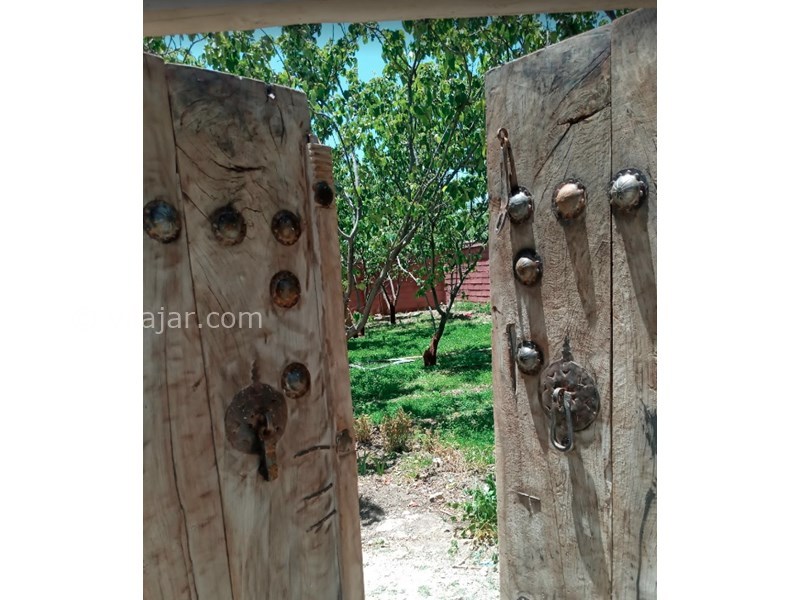 عکس شماره 601146 - اقامتگاه بومگردی خانه سیب - 