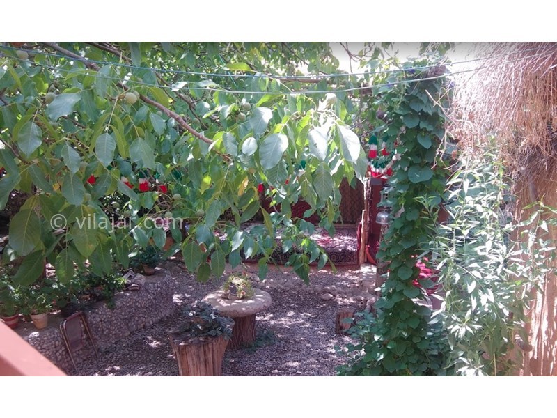 عکس شماره 601153 - اقامتگاه بوم گردی چشمه ناز - 