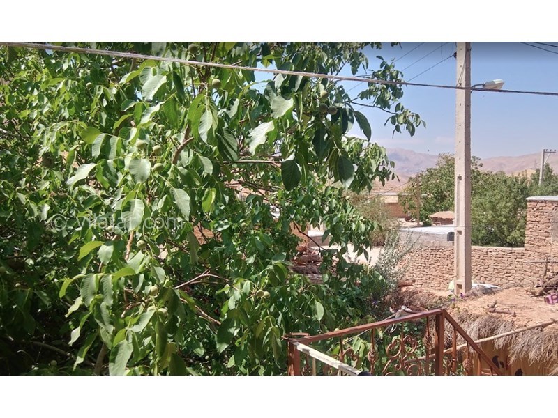 عکس شماره 601154 - اقامتگاه بوم گردی چشمه ناز - 