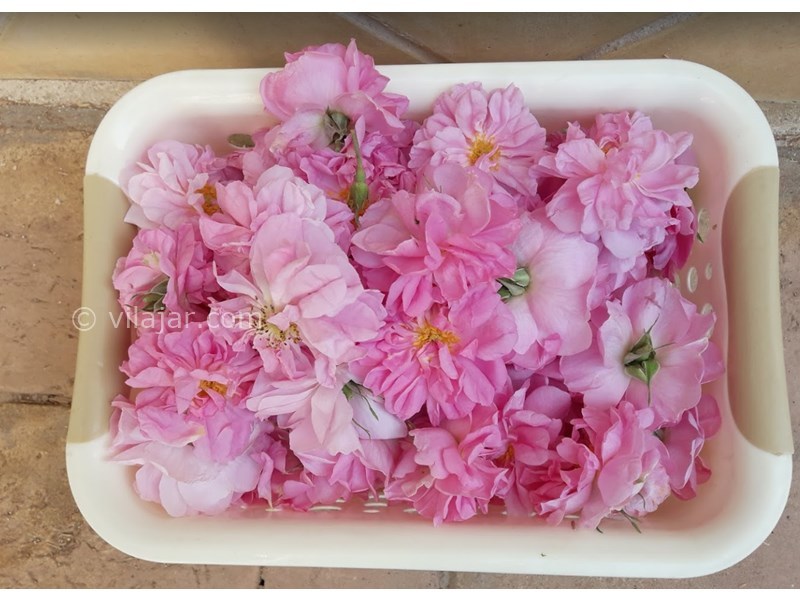 عکس شماره 601498 - اقامتگاه بومگردی کیخسرو چوپانان - 