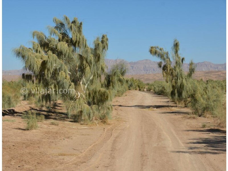 عکس شماره 601502 - اقامتگاه روستایی بابا قاسم - 