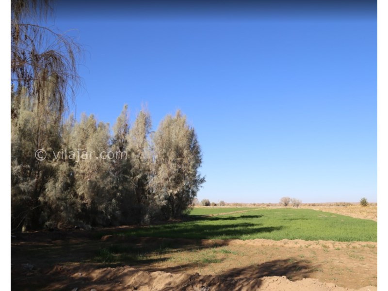 عکس شماره 601524 - اقامتگاه روستایی بابا قاسم - 