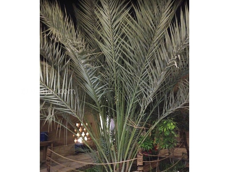 عکس شماره 601572 - اقامتگاه بومگردی ترند -